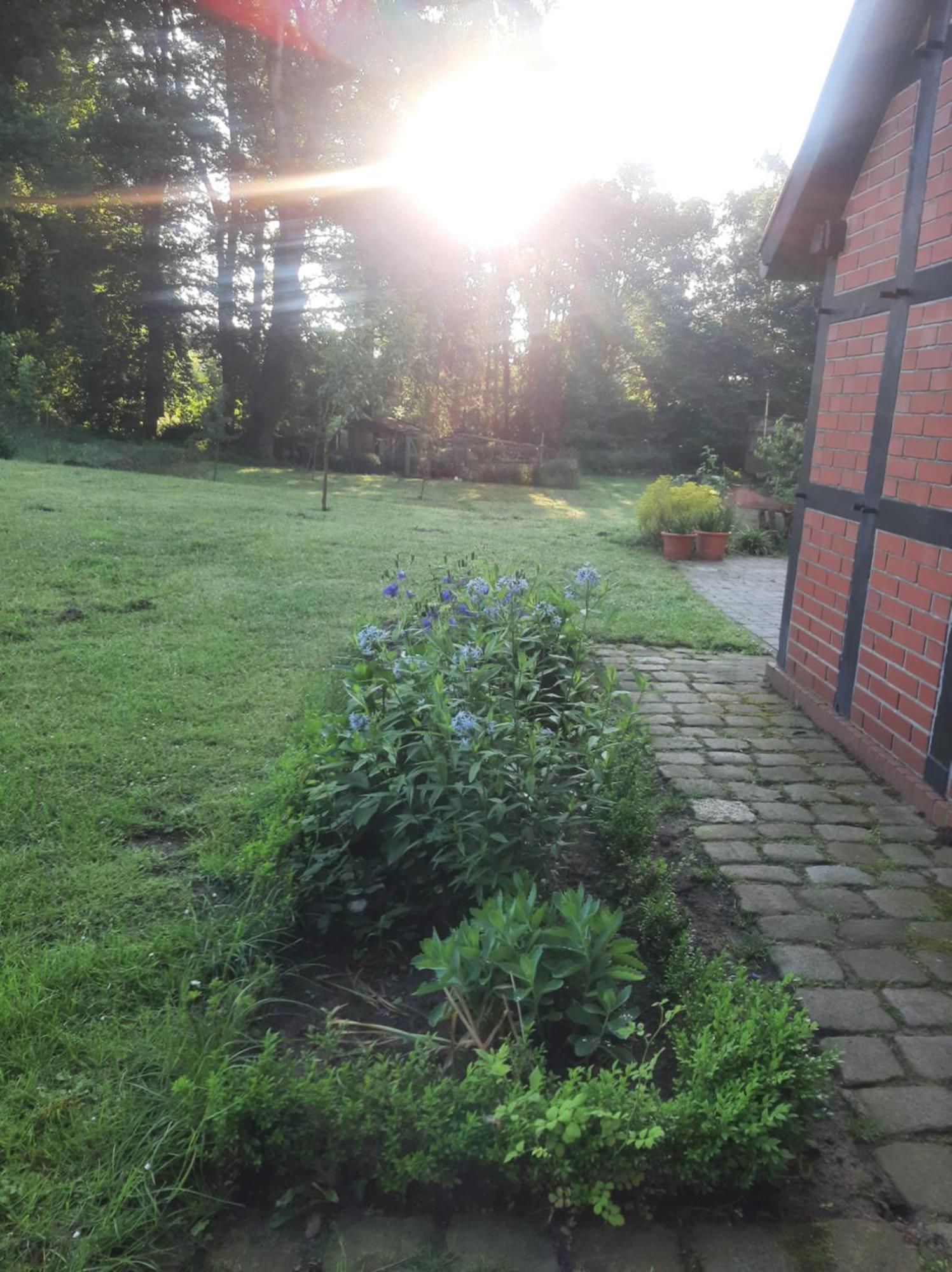 Ferienwohnung Auf Dem Land Ladbergen エクステリア 写真