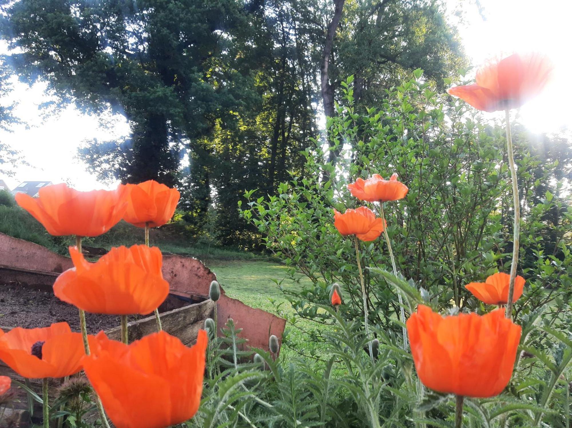 Ferienwohnung Auf Dem Land Ladbergen エクステリア 写真